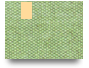 tara26