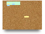 Trial Canvas