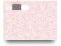 2GM-2d