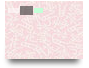 2GM-2D