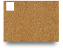 Tema 1