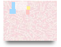what do you see?