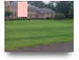 Healthier Lawn