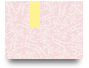 79BET