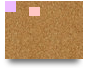 EU TREASURE TEACHER VIEWS