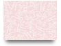\Forum