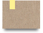 Litigation Support Services 