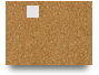 UI/UX Design