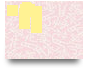 DS -8th 