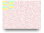 Conv2 ADV5