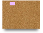 Chapter 4 Discussion Question