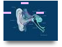 Deaf Awareness Feedback 
