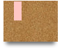 5xtbetukcom
