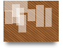 TP
