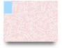 Phonology ==> 20/07/2025