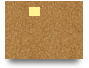 pg88gbnet