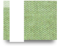 Xin88