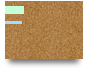  Proyecto integrador Mod. 20