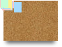 pardindia2