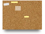 Trial Canvas