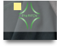 The PITCH Performance