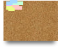 Trial Canvas