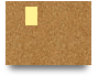 Infoantifungus.com