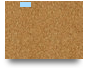 Trial Canvas
