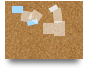 Trial Canvas