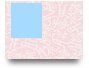maudpcongty