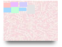 grupo 8