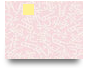 iwinjpnet0