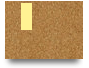 999govbrcom