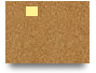 LifeScopez