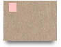 BINGOPLUS1