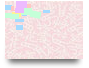 6- LILAC