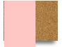 benh-vien-dai-hoc-phenikaaMec