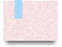 Mostbet BD