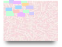 1 pamoka
