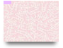 GIMP 2 _MARTINA_CARO