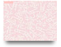 Gimp 2