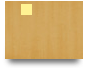 GPTJP.net