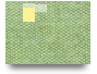 Shader Test