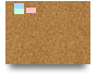 Final Feedback