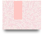 xoilaccrtvv
