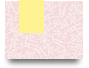 unidongphuc8