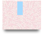 x88cccom