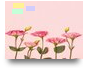  الصداقة  (2)