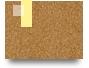 socolivejjtv