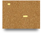 Trial Canvas